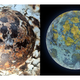 Illustration for article titled Artist transforms photos of rusty fire hydrants into pictures of alien planets
